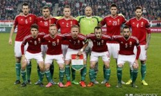 开云体育在线-奥地利对阵挪威，双方实力均衡