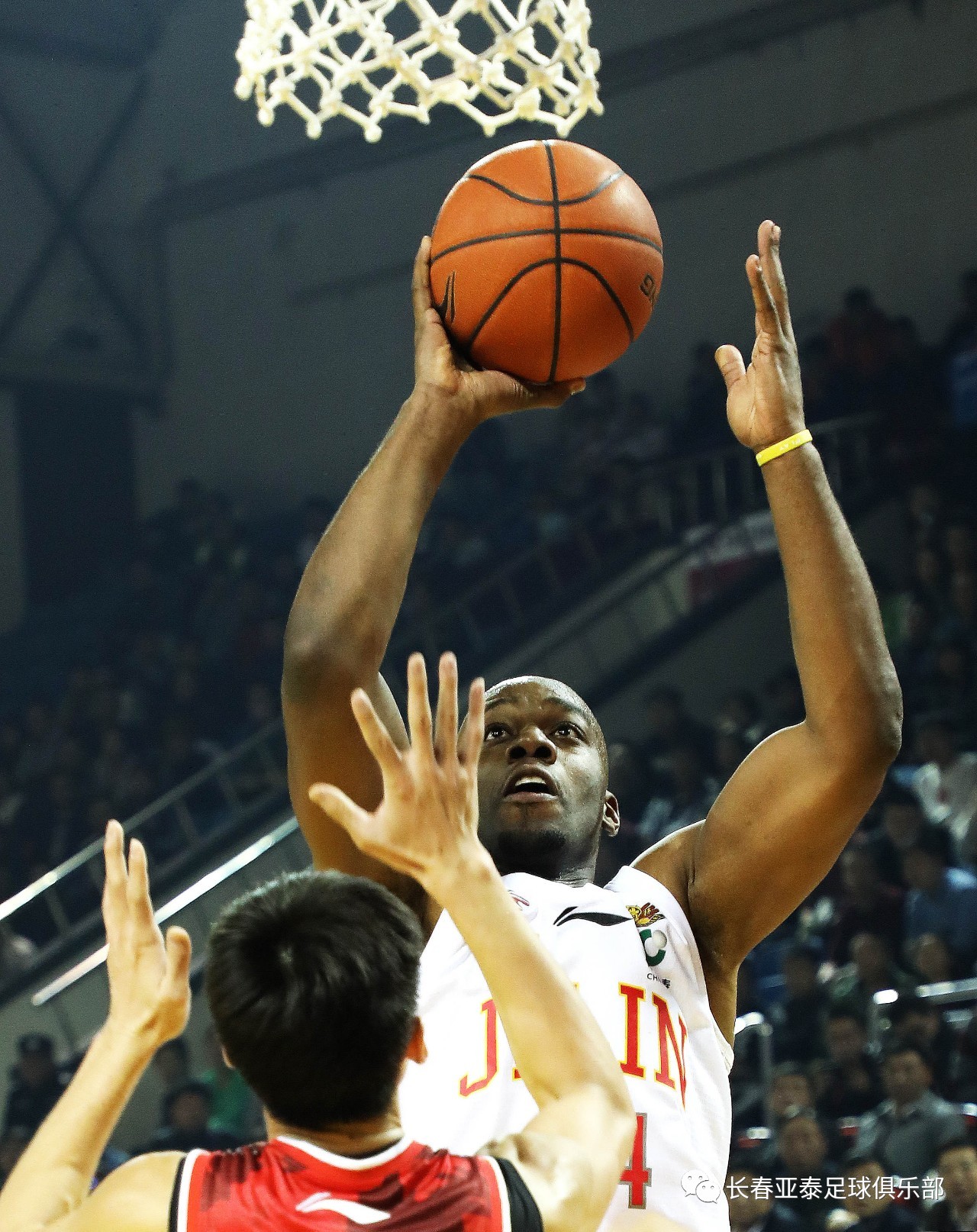 辽宁沈阳东北虎毅然冲向中超,取得亮眼成绩 辽宁沈阳东北虎毅然冲向中超,取得亮眼成绩