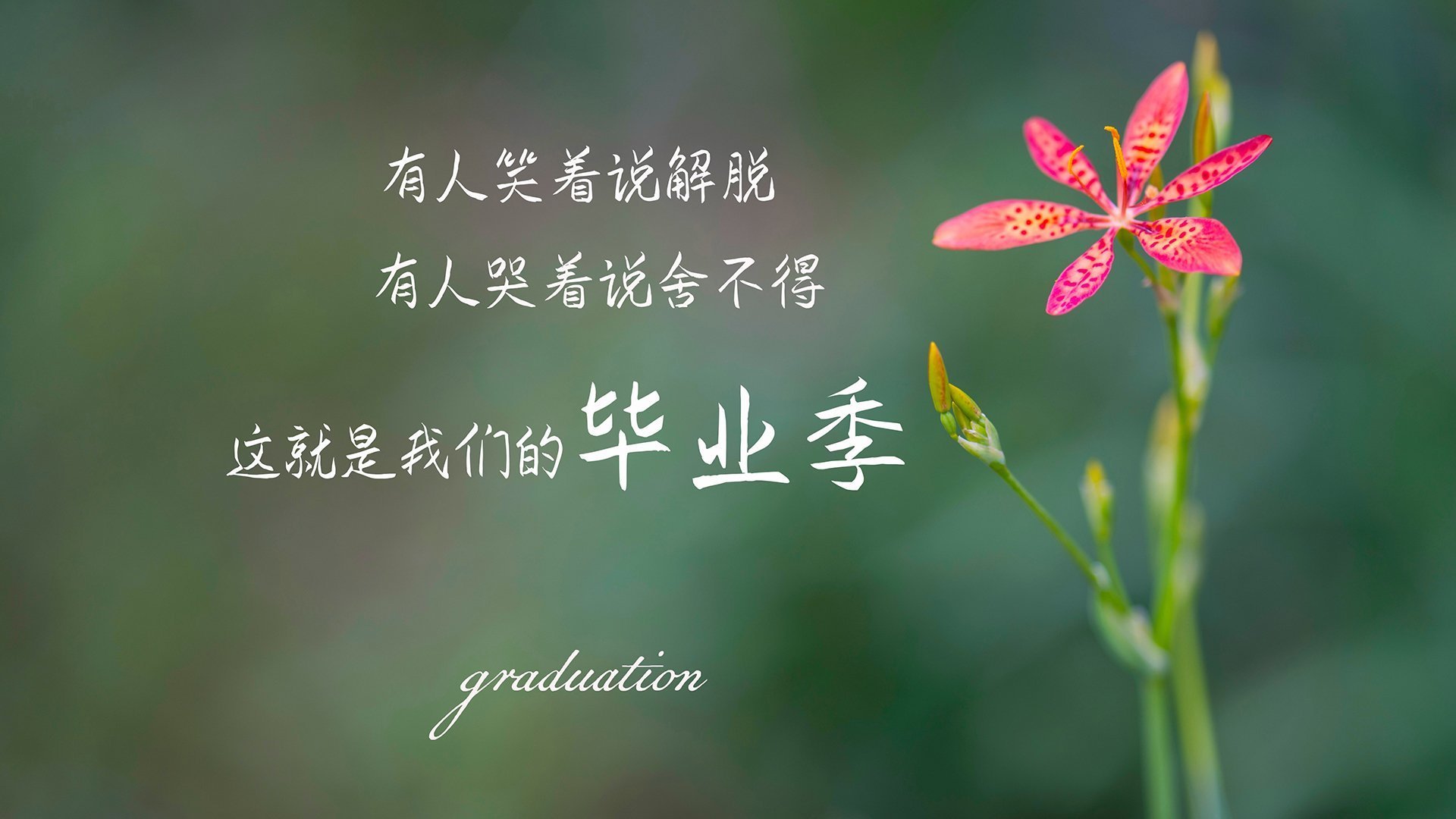 浙江的克莱击碎五棵松，当水形波纹漫过皇城根