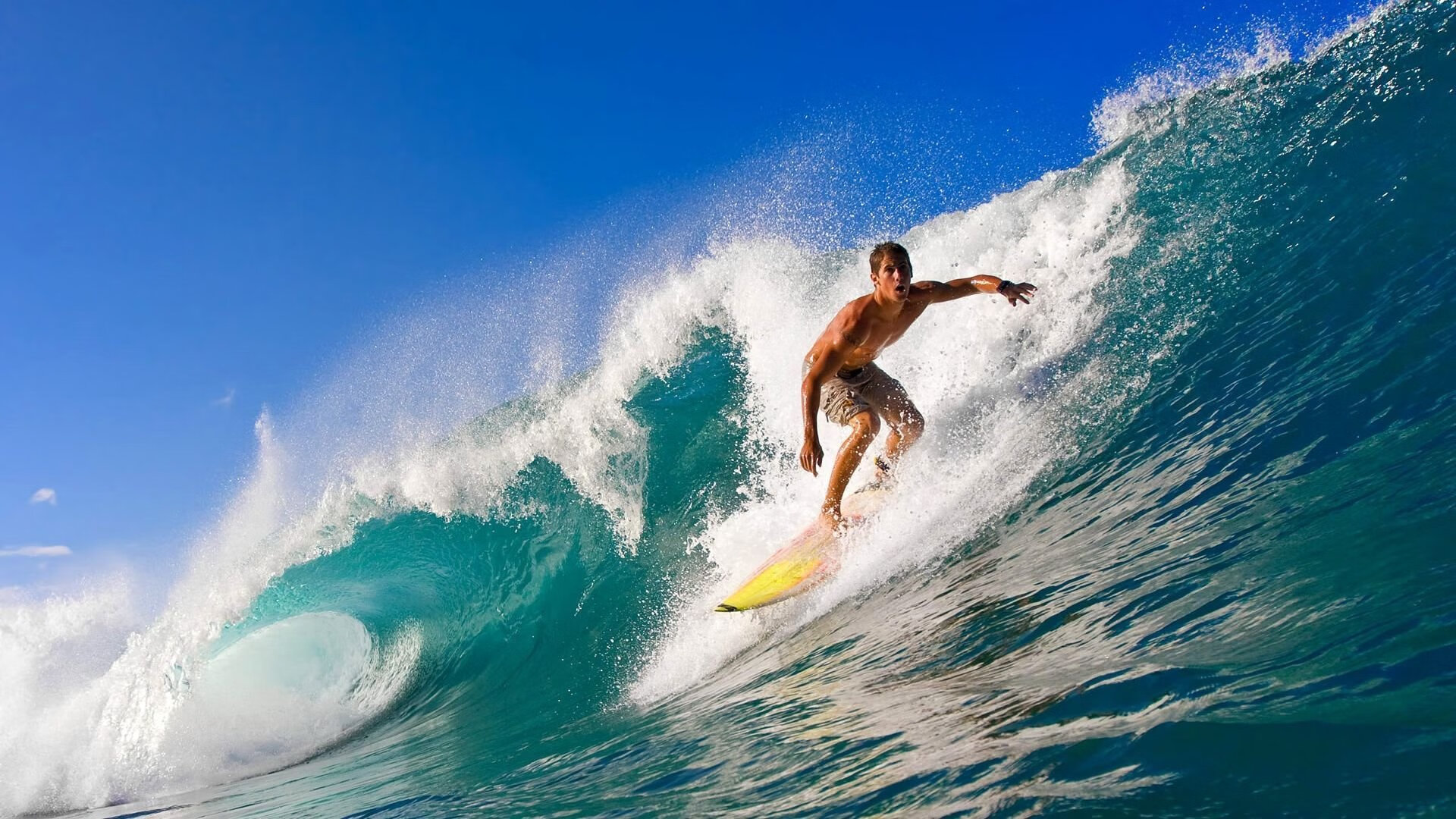 一场夏夜的绞杀与一声亚洲狮吼，当罗马城墙遭遇特兰加雄狮的魂