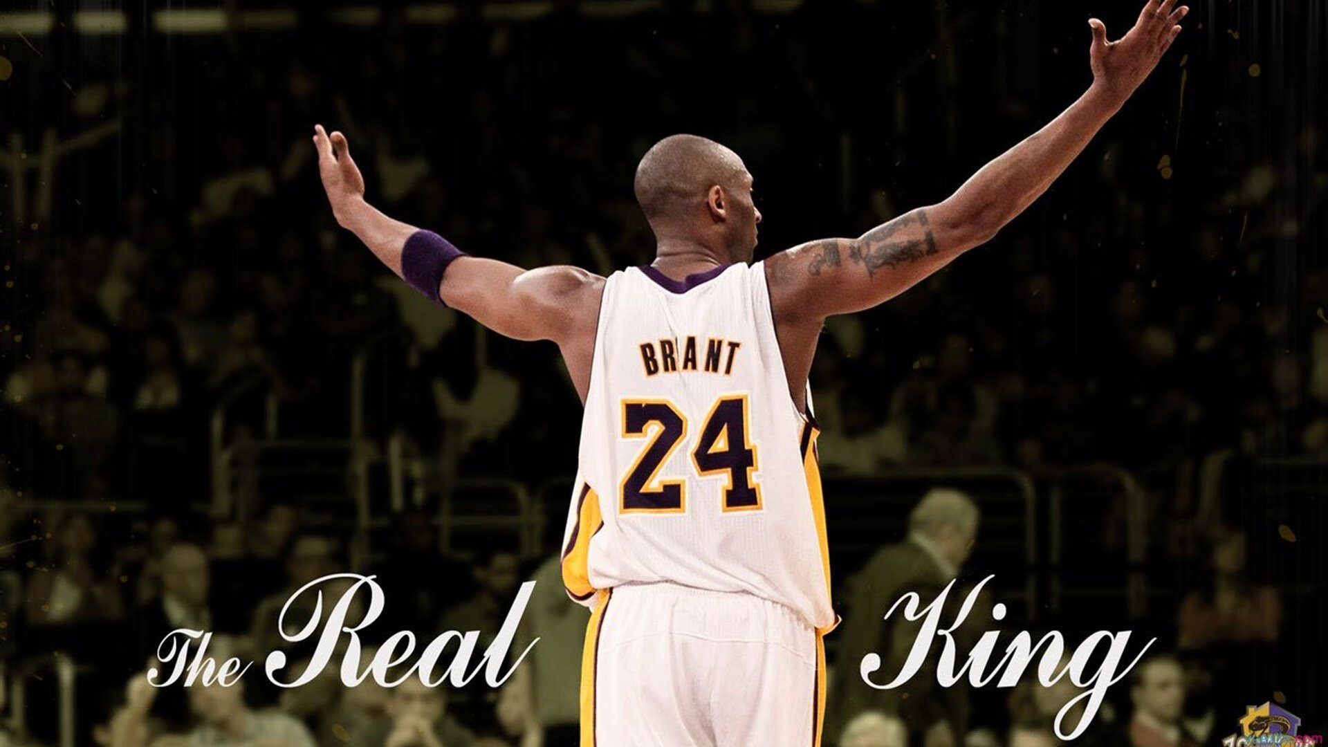 掌心战场,许昕用最后一滴汗水为中国队画下生存线